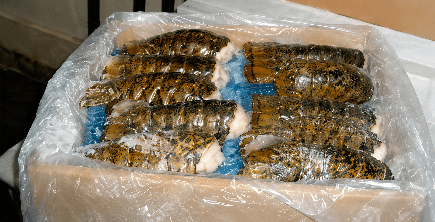 Case of Lobster Tails