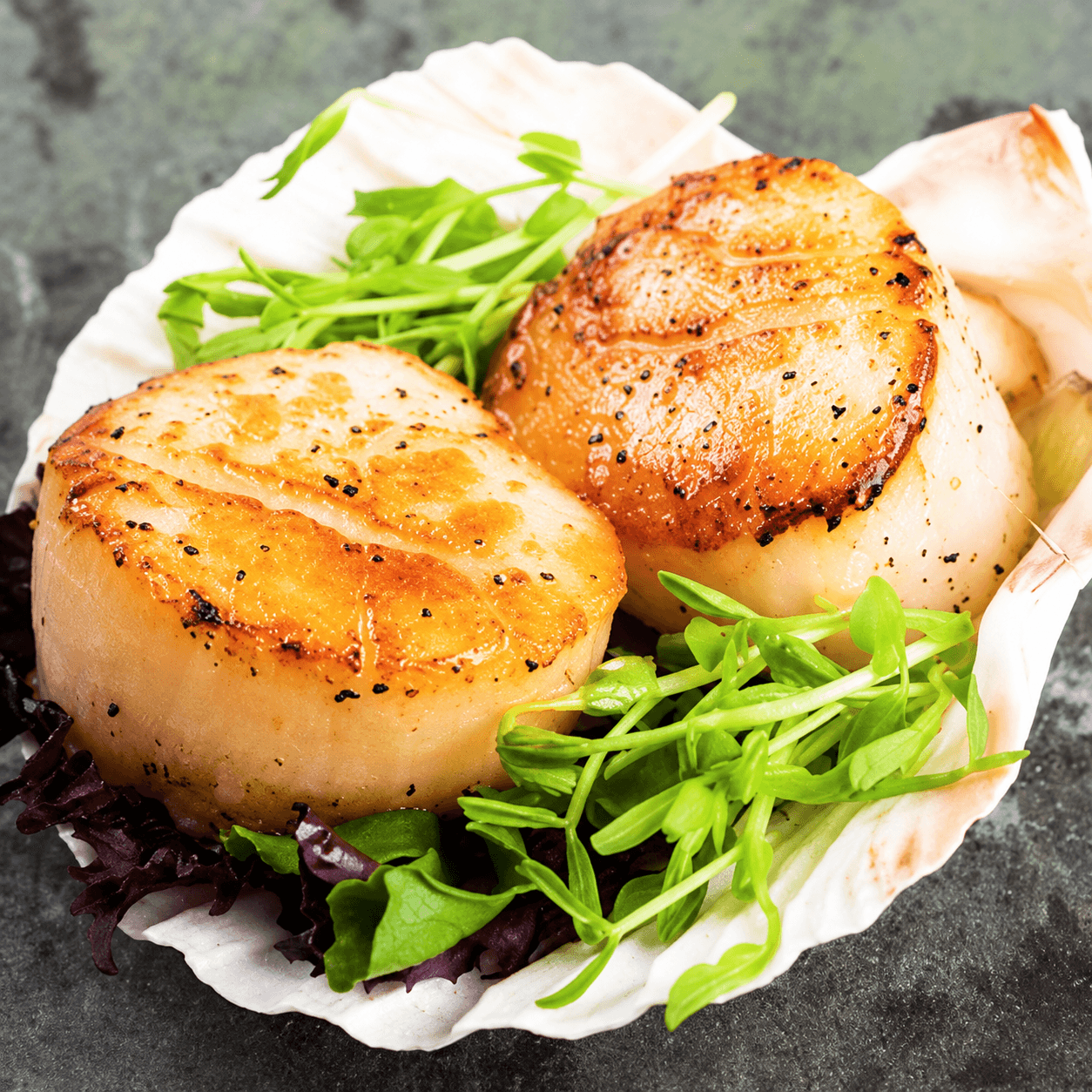 Jumbo Scallops