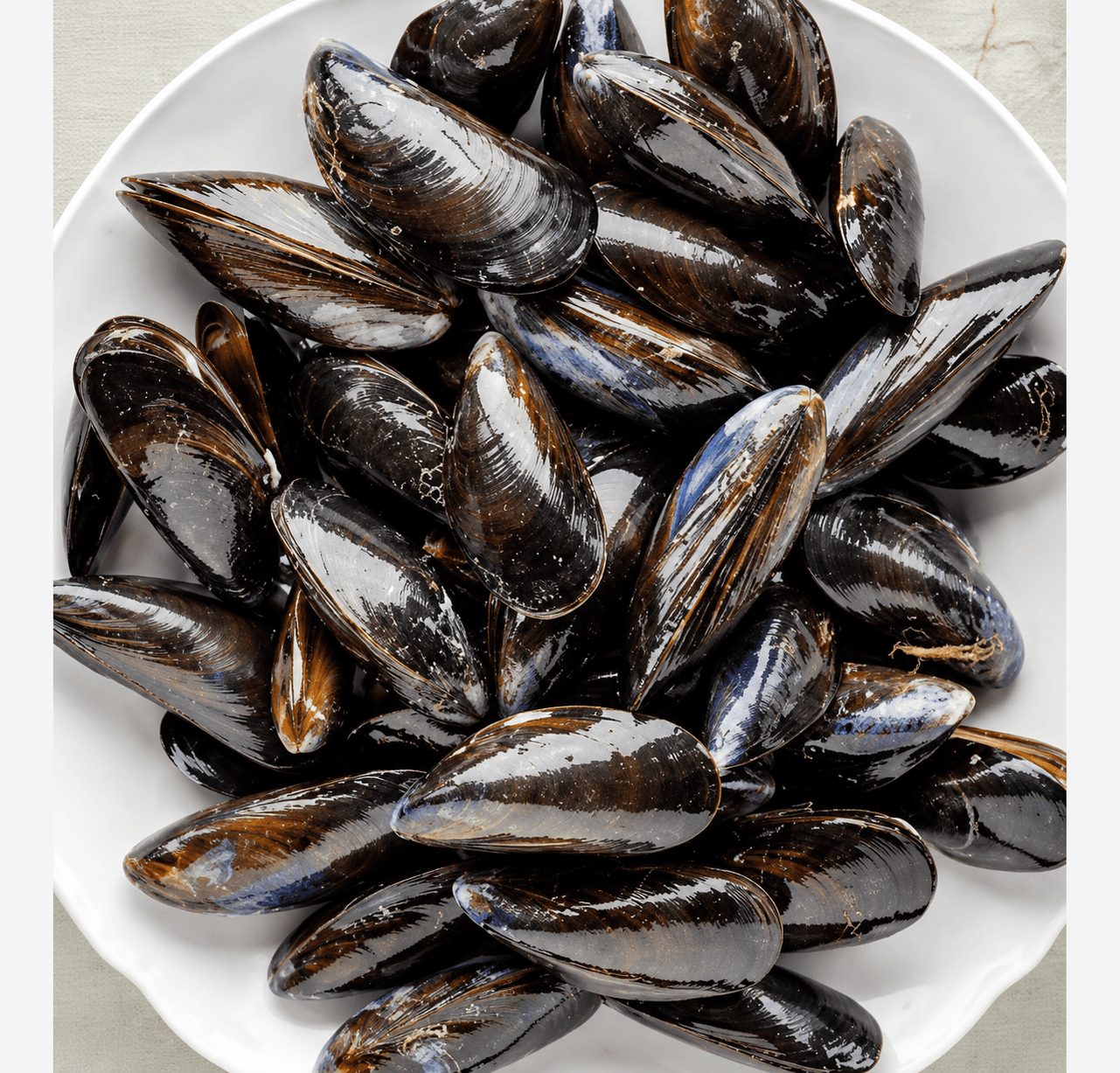 Mussels